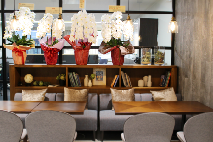 胡蝶蘭に関するアンケート調査を公開